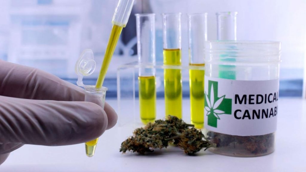 cannabis-medicinal.jpg