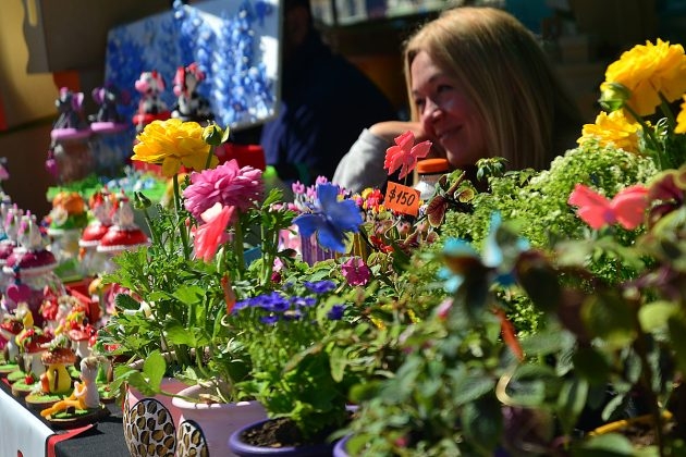 DSC_0673-630x420.jpg