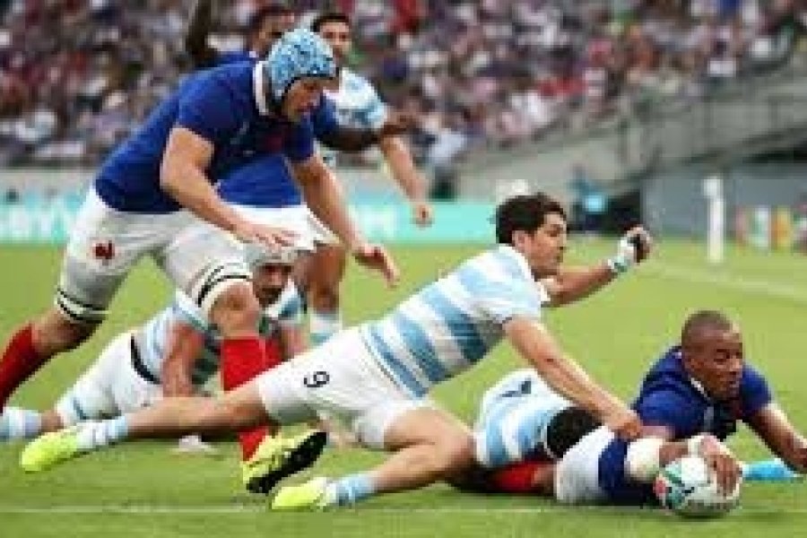 pumas.jpg
