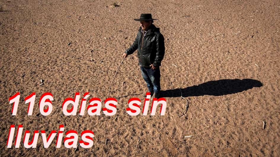 116.jpg