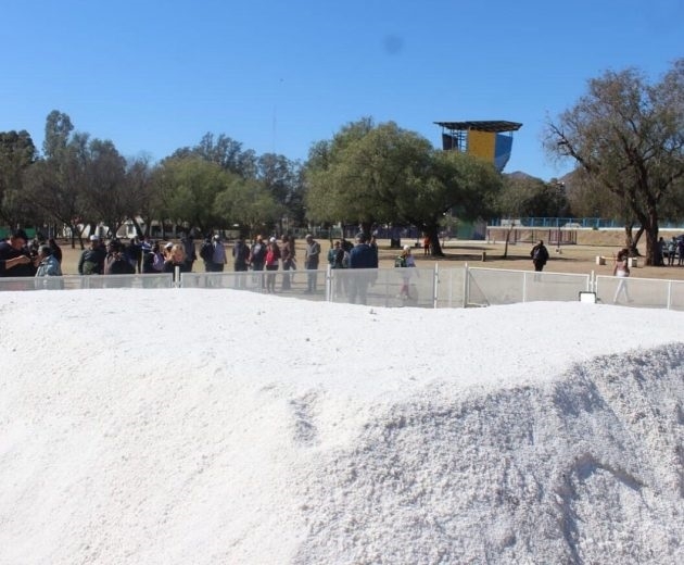 salinasok.jpg