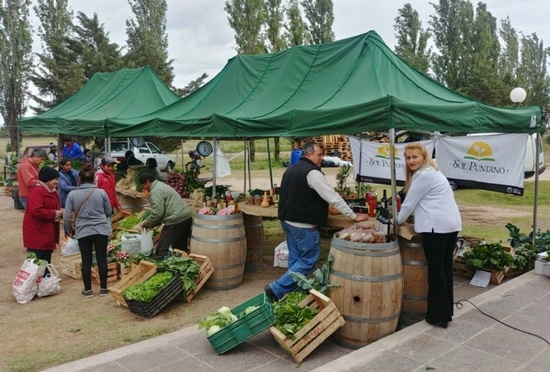 feria-sol-puntano.jpg