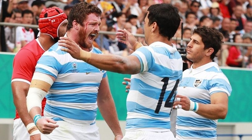 los_pumas.jpg_1956802537 (1).jpg