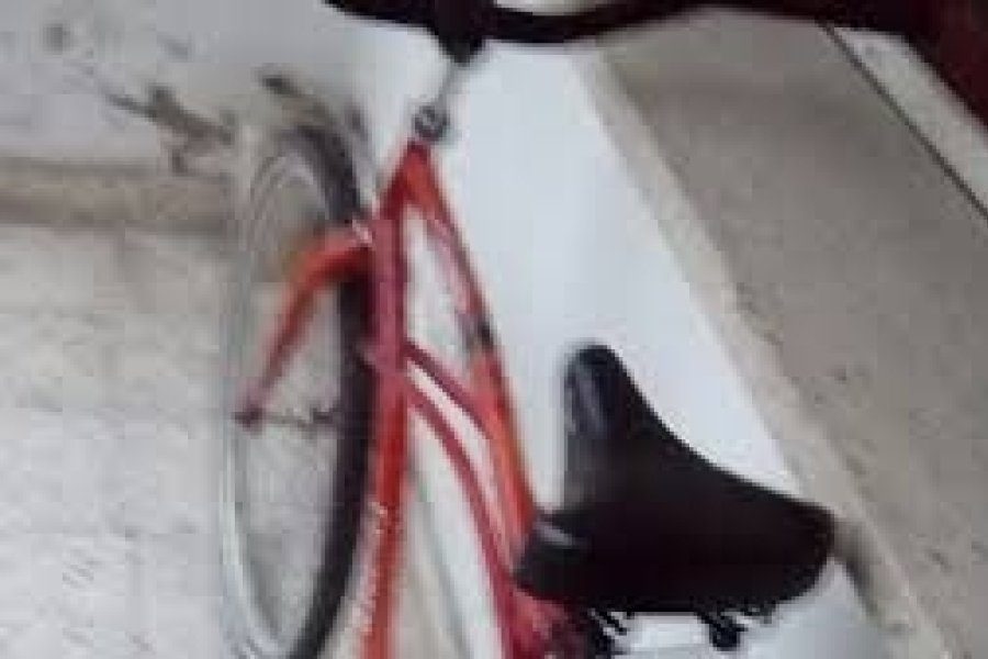 bicicletaroja.jpg