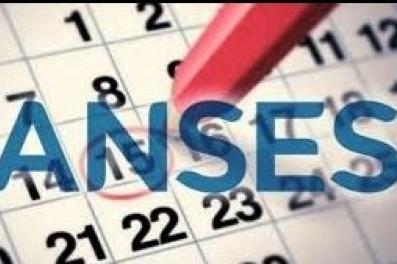 anses.JPG