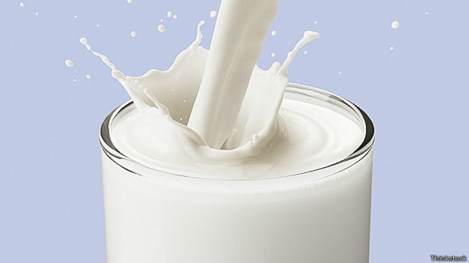 141105131956_leche_624x351_thinkstock.jpg