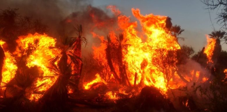 incendiooo.JPG
