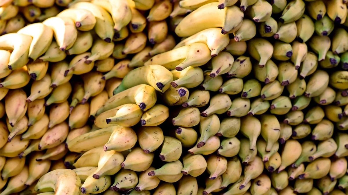 banana.jpg