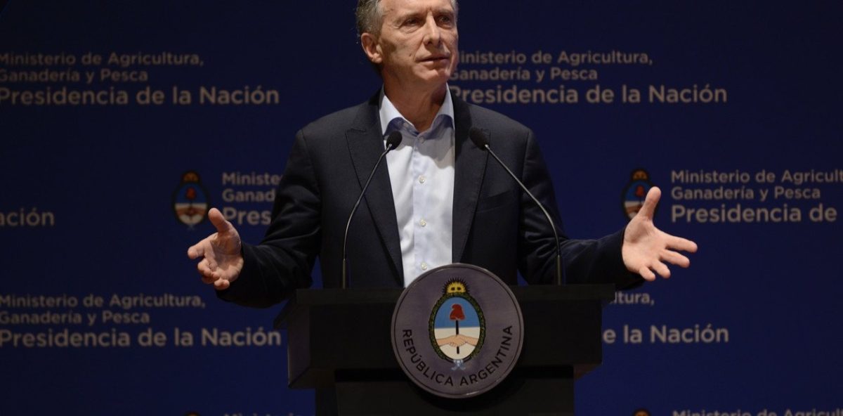 hay-campo-para-rato-es___FdofwGCC_1256x620__1.jpg