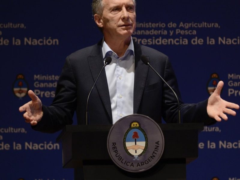 hay-campo-para-rato-es___FdofwGCC_1256x620__1.jpg