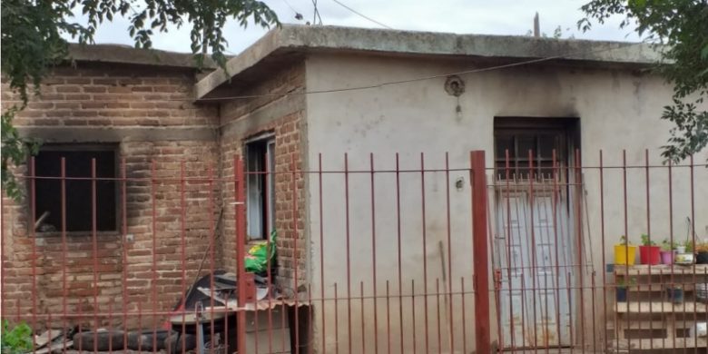 Publicación1-800x445.jpg