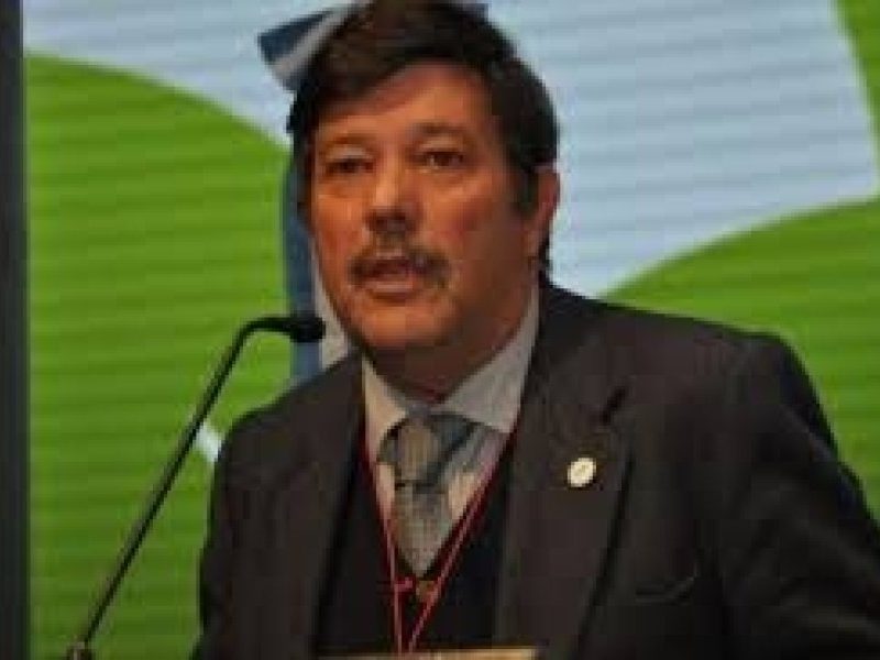 descarga (11).jpg