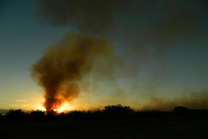 DSCN3597.jpg