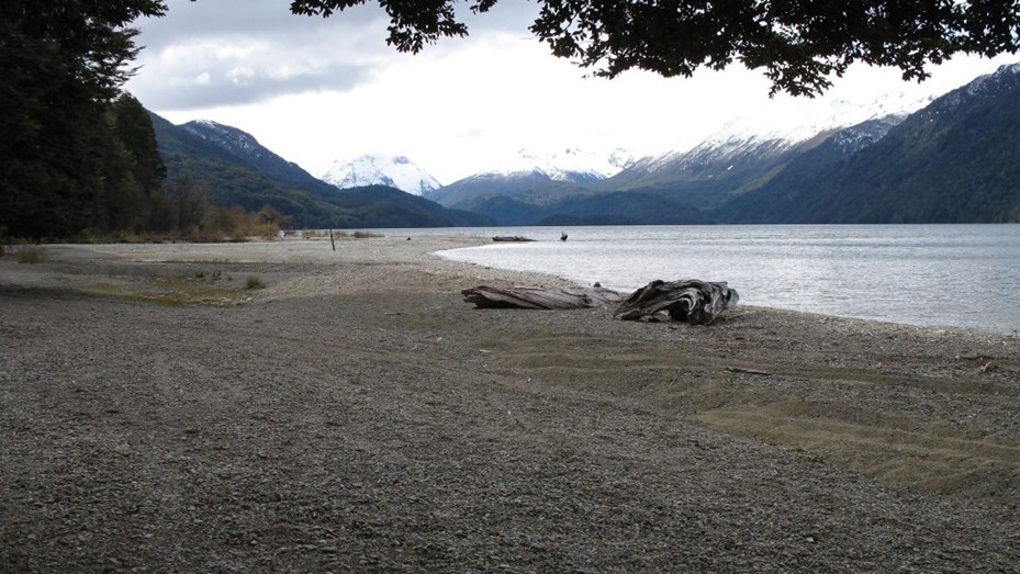 machupes-tomaron-una-playa-en-bariloche.jpg