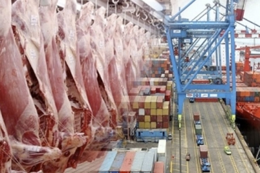 exportaciones.jpg