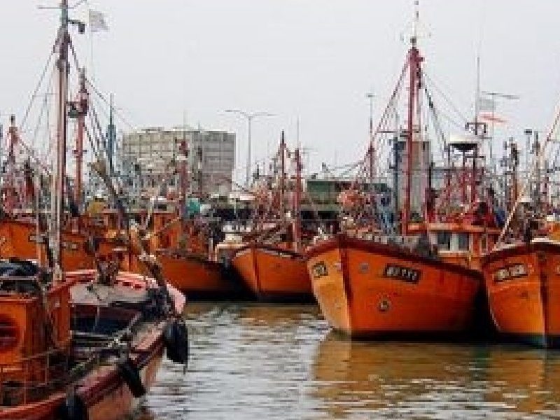 PESCA-BONAERENSE-300x225.jpg