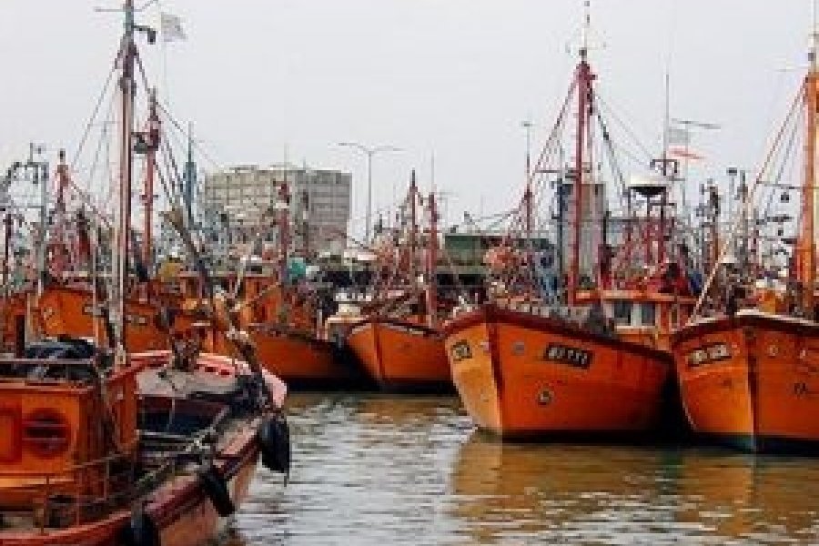 PESCA-BONAERENSE-300x225.jpg
