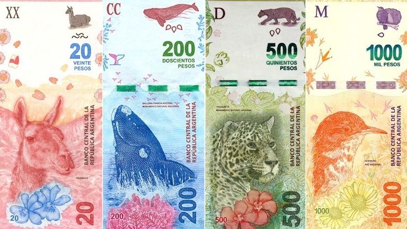 billetes.jpg_1956802537.jpg