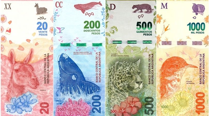 billetes.jpg_1956802537.jpg