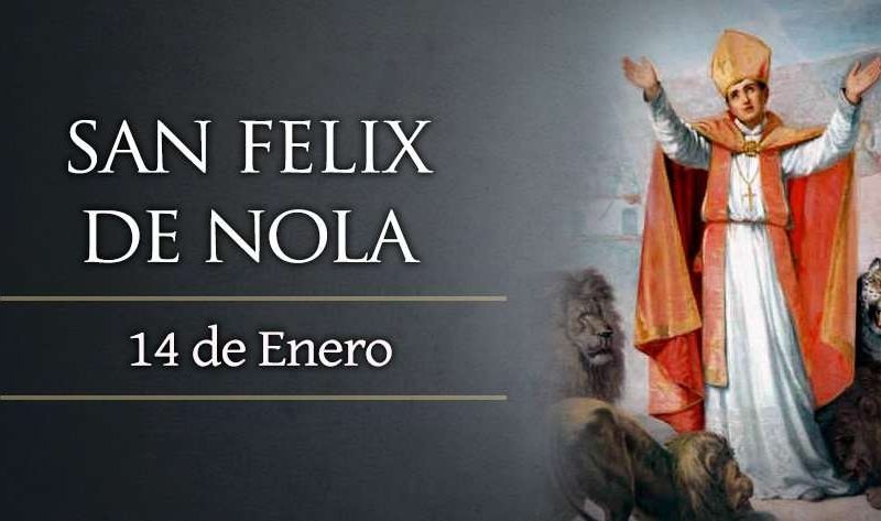 FelizNola.jpg