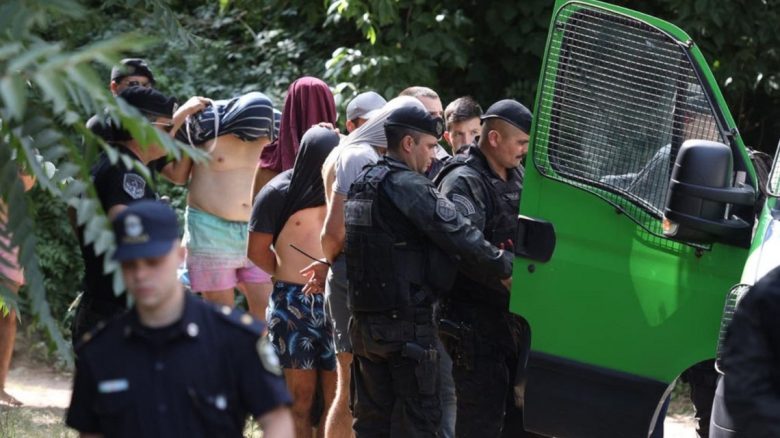 0037317826.jpg