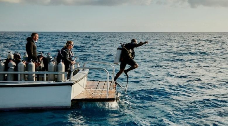 433729396_bahamas_sabbatical-1427-min_1.jpg_1956802537.jpg