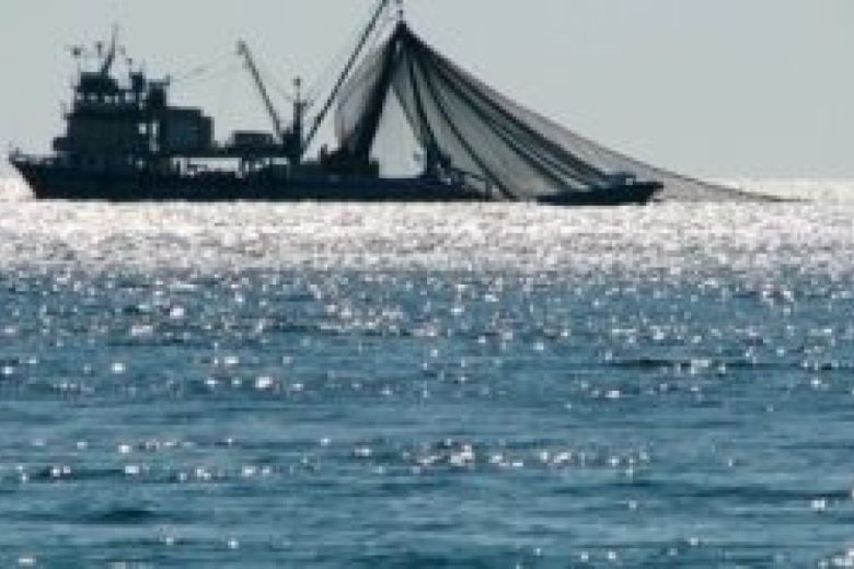 pesca-mar-300x166.jpg