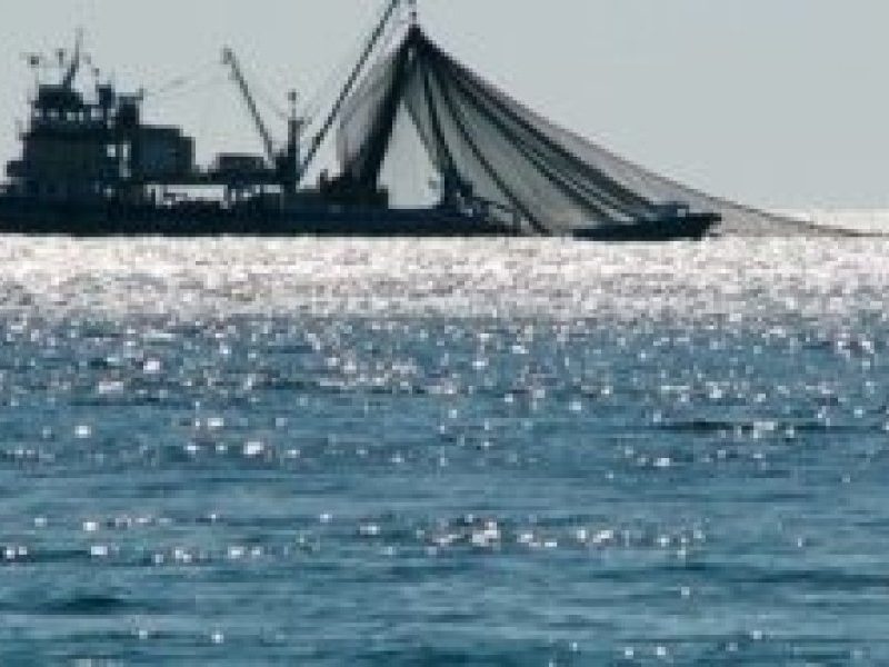 pesca-mar-300x166.jpg