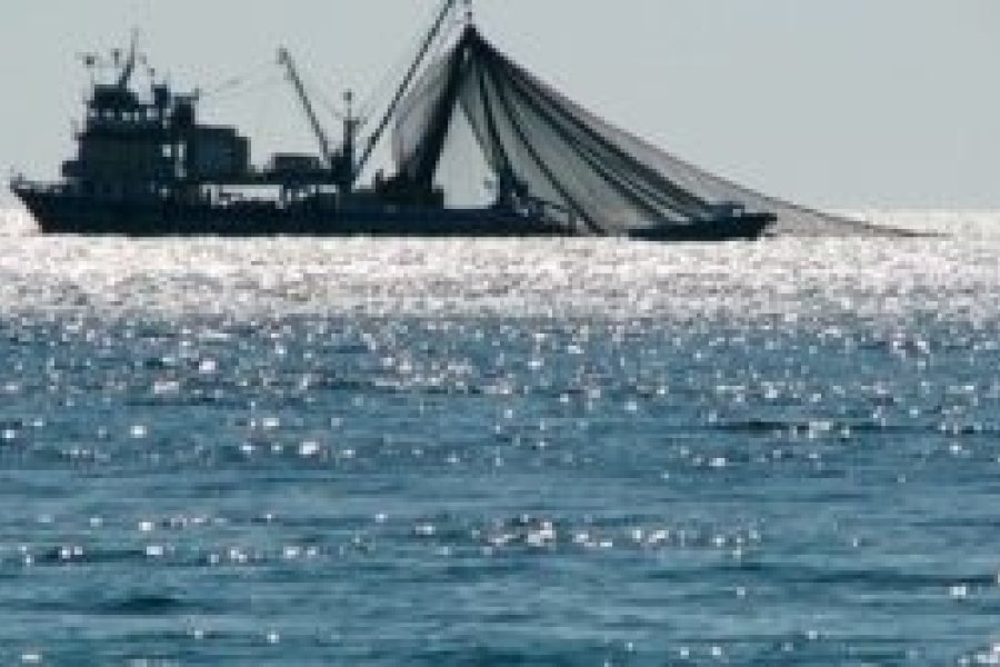 pesca-mar-300x166.jpg