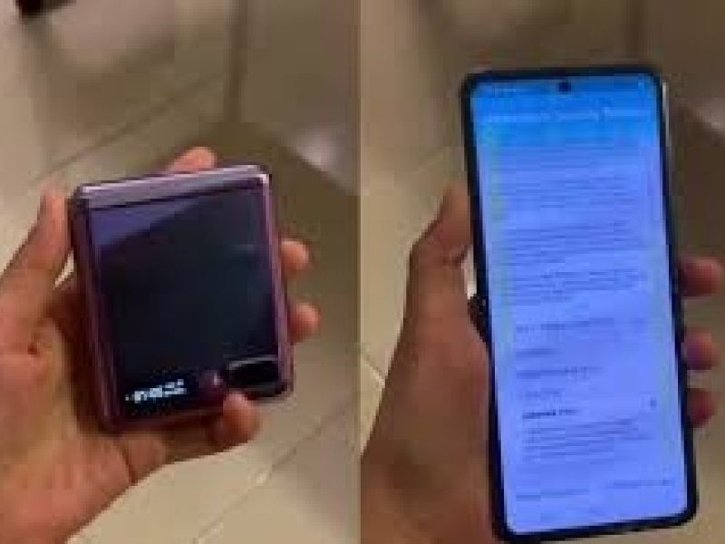 descarga (13).jpg