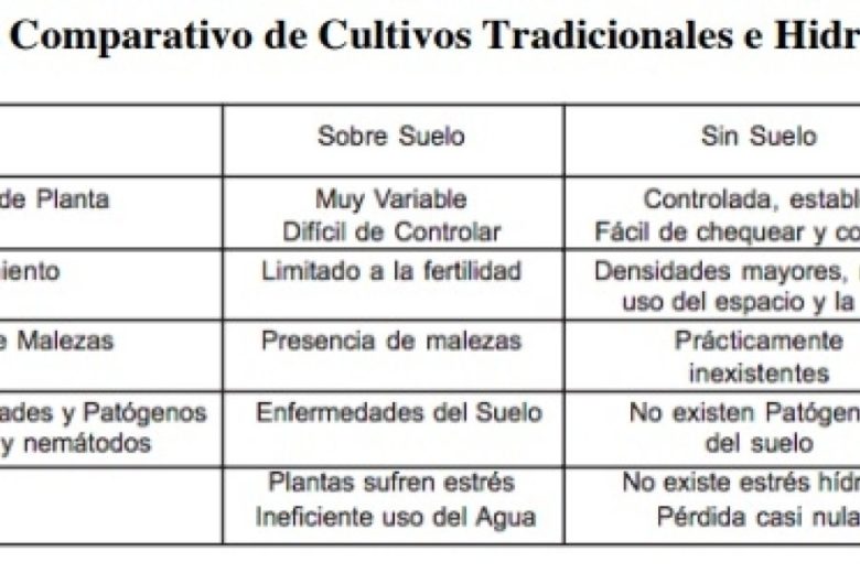 04-02-hidroponia-cuadro-analisis-comparativos-de-cultivos.jpg