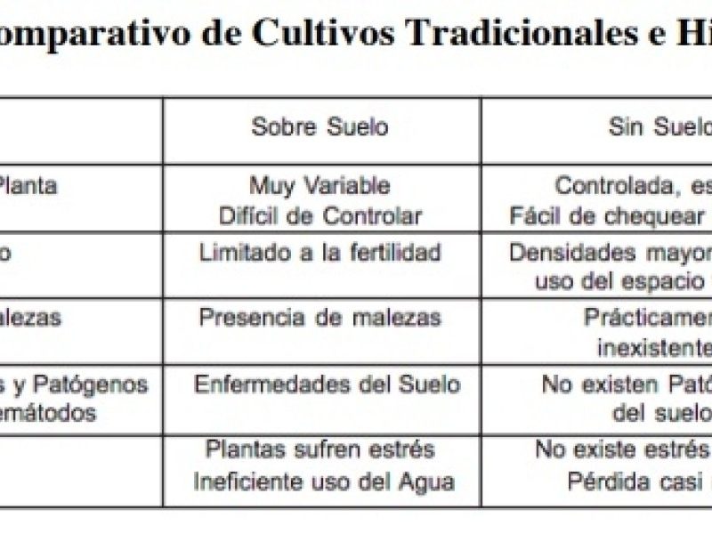 04-02-hidroponia-cuadro-analisis-comparativos-de-cultivos.jpg