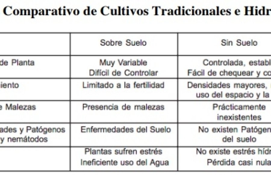 04-02-hidroponia-cuadro-analisis-comparativos-de-cultivos.jpg