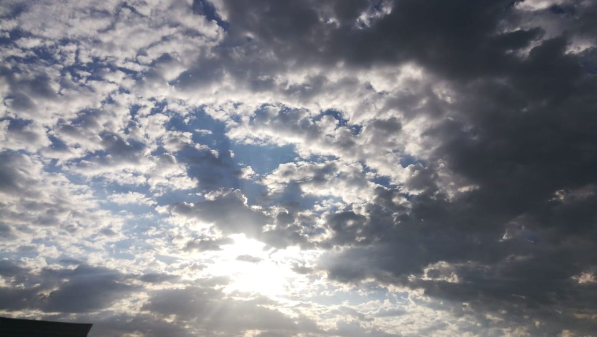 0a1e29c9-4560-4cb2-afec-5a6a5f00bf4a.jpg