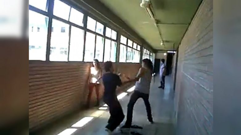 pelea.jpg
