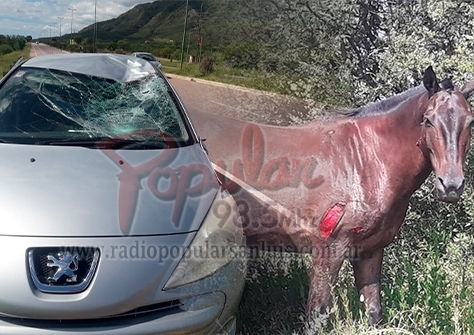 cabalfflo-1.jpg