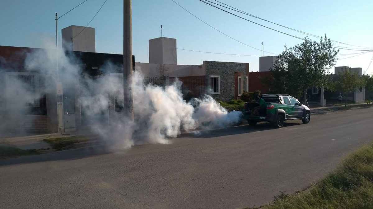 fumigacion.jpg