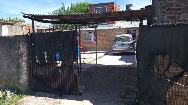 muerte atropello.jpg