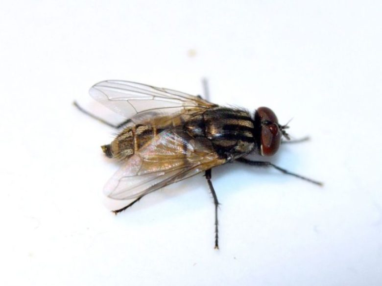 5e57ceb40bea2_837_627!.jpg