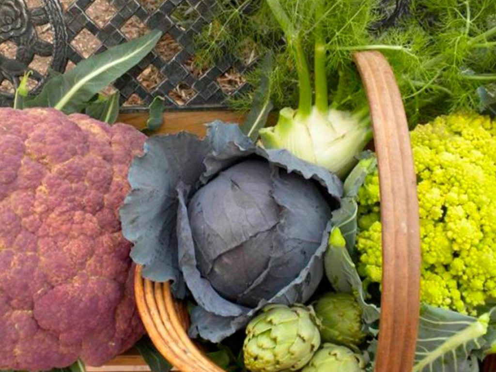 x_noticia cultivo otono invierno FIS .jpg