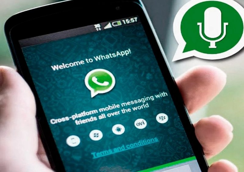whatsapp.jpg