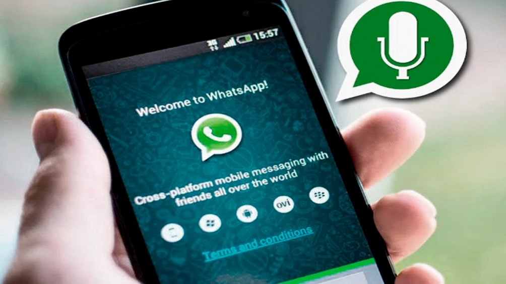 whatsapp.jpg