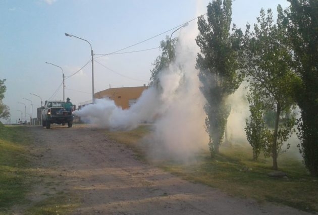 Fumigación-1-1-1-630x426.jpg