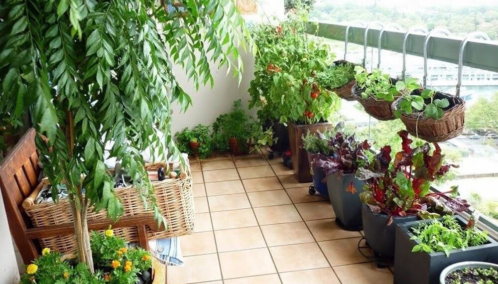 huertos-urbanos-cuarentena-infocampo.jpg