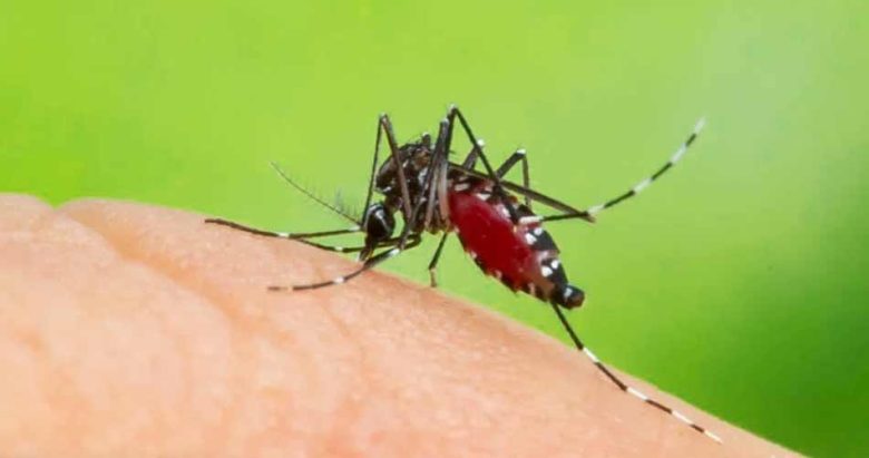 el-marzetti-intervino-en-un-presunto-caso-de-dengue-21188.jpg