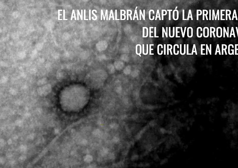 coronavirus foto.jpg