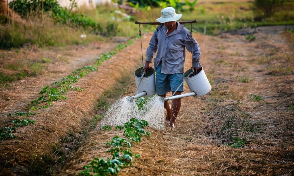Reforma-a-la-LFT-beneficiará-a-los-trabajadores-del-campo.jpg
