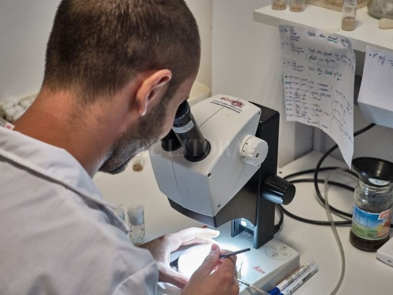 laboratorio.jpg