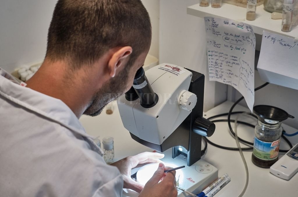 laboratorio.jpg