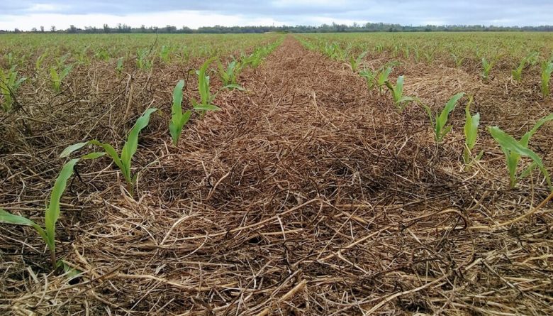 agricultura-sustentable-infocampo.jpg